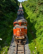 8891 leads CN 403 at Tobin (Alternate shot)